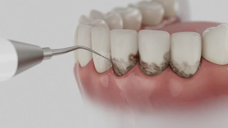 Reliable Dental contractor in North Rock Springs, WY by Dentist Open Now